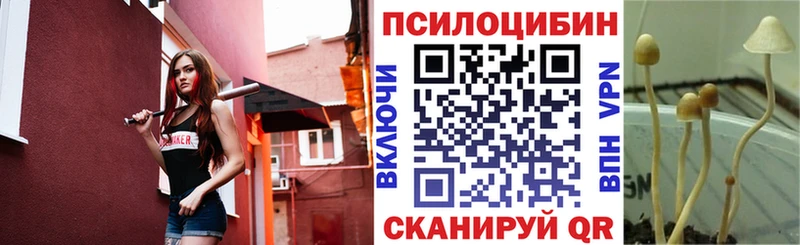 Галлюциногенные грибы мицелий  даркнет сайт  Котельниково 